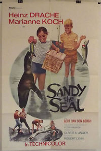 Sandy the seal - Poster / Capa / Cartaz - Oficial 1