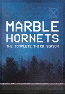 Marble Hornets (3ª Temporada)