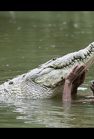 Poster 1 de Filme O Homem Que Nada com Crocodilos (2013)