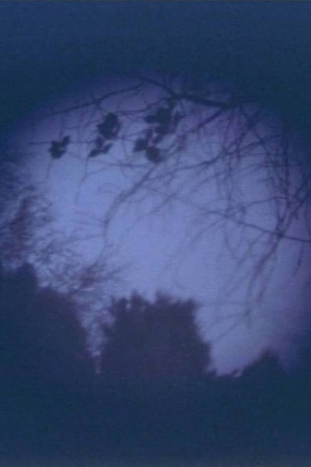 Poster de Curta High Kukus (1973)