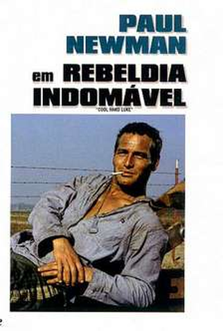 Poster 5 de Filme Rebeldia Indomável (1967)