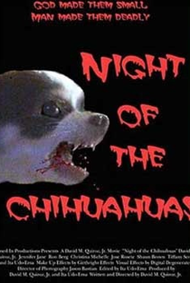 Night of the Chihuahuas - Poster / Capa / Cartaz - Oficial 1