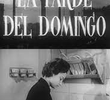 Tarde de Domingo