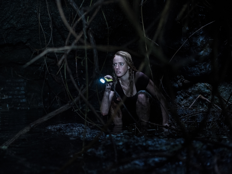 Foto 3 de Predadores Assassinos