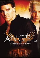 Angel: O Caça-Vampiros (5ª Temporada)