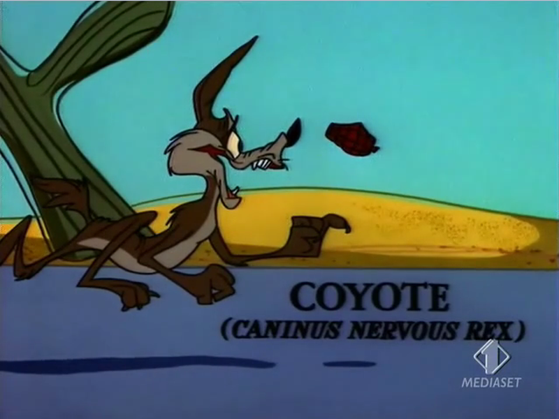 Foto 5 de Guerra e Peças