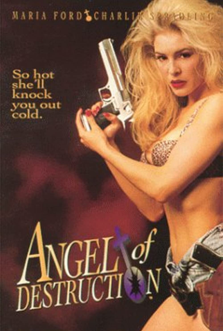 Poster 1 de Filme Anjo da Destruição (1994)