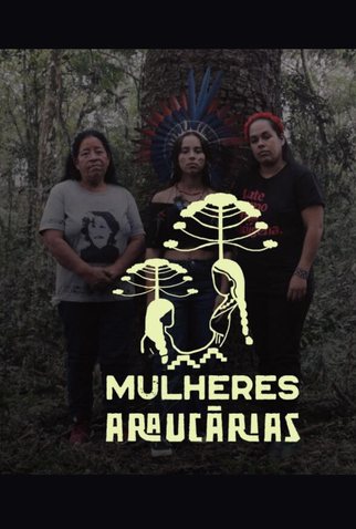 Poster 1 de Curta Mulheres Araucárias (2024)