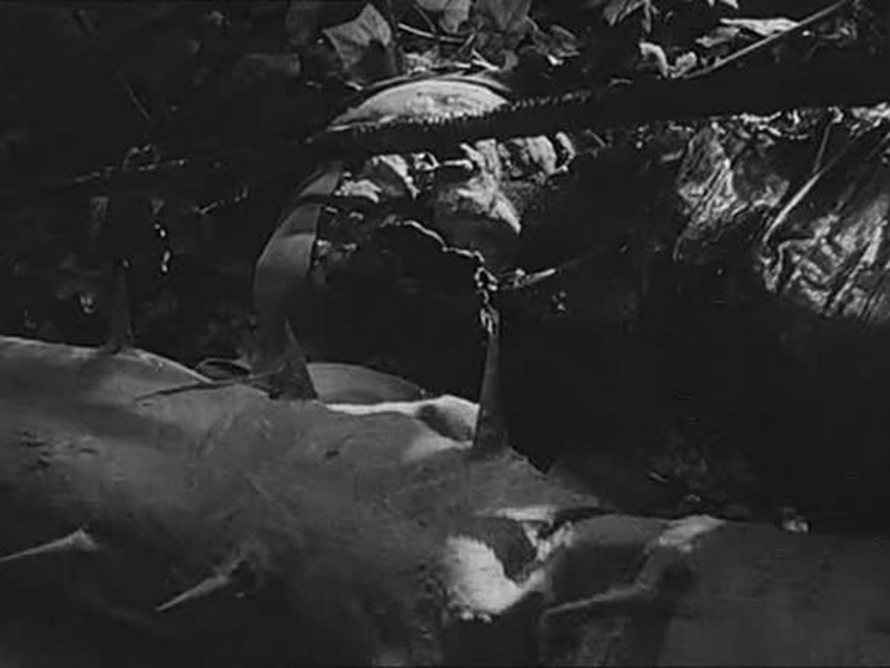 Foto 3 de O Monstro Cósmico