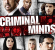 Criminal Minds