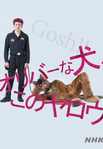 Oliver Dog, (Gosh!!) This Yarrow (オリバーな犬、(Gosh!!)このヤロウ)