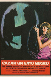 Cazar un Gato Negro - Poster / Capa / Cartaz - Oficial 1