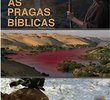 As Pragas Bíblicas