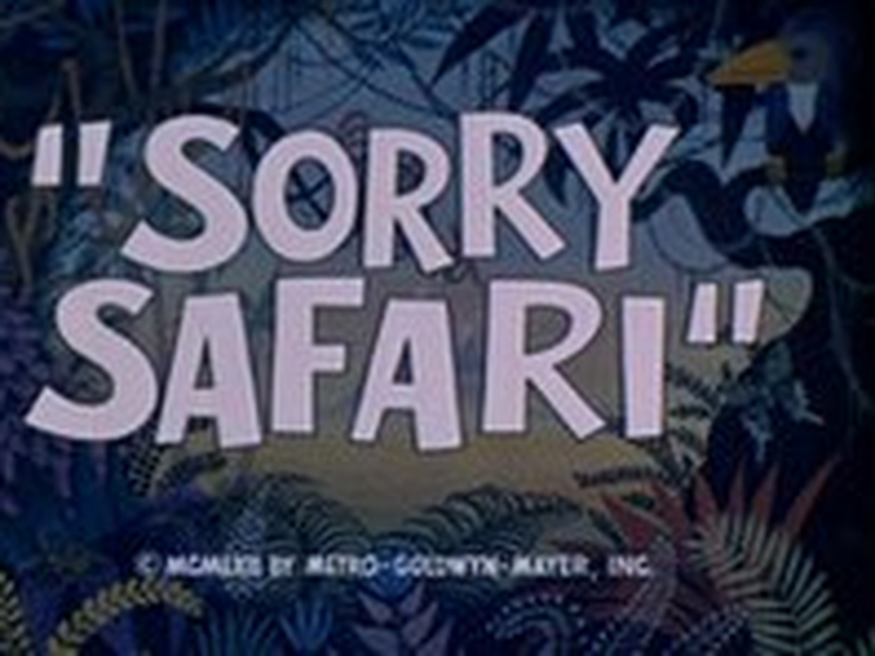 Foto 1 de Safa... Que Safari !