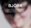 Björk: Inner or Deep Part of an Animal or Plant Structure