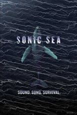 Sonic Sea (Sonic Sea)