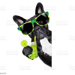 Foto de perfil de MMR