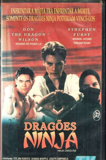  de Filme Dragões Ninja (1993)