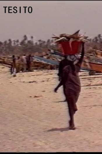  de Curta Tesito (1989)