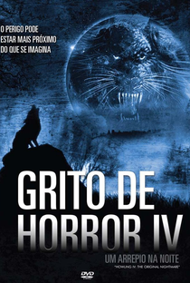 Grito de Horror IV: Um Arrepio na Noite - Poster / Capa / Cartaz - Oficial 2