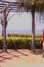 Eu Não Quero Petelecos! (Eu Não Quero Petelecos!)