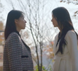 47회