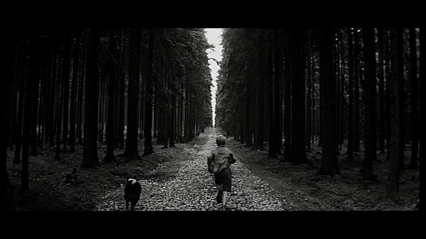 Breno - Foto 5