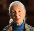 Jane Goodall
