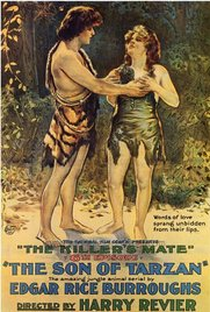 O Filho de Tarzan - Poster / Capa / Cartaz - Oficial 1