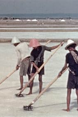 High Stakes in the East (High Stakes in the East)