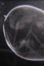 Nanofania (Nanofania)