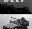 The Autobiography of a ‘Jeep’
