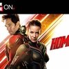 Entenda como Homem-Formiga e a Vespa se conecta com Vingadores 4