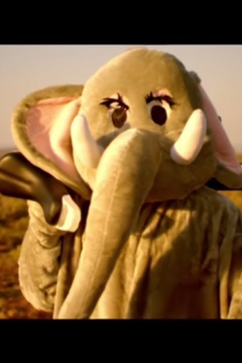  de Curta Coldplay: Paradise (2011)