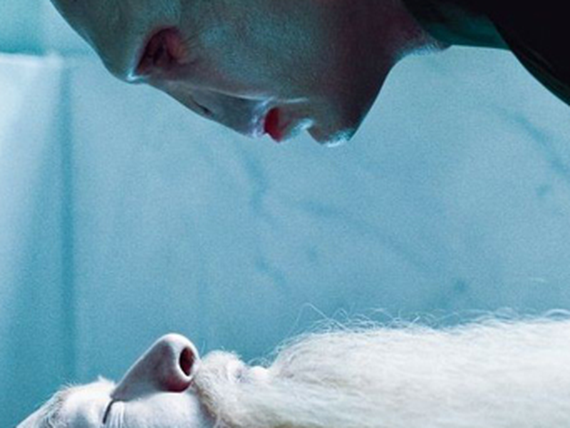 Foto 11 de Harry Potter e as Relíquias da Morte - Parte 1