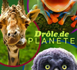 Absurd Planet