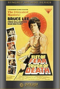 Conspiração Bruce Lee - Poster / Capa / Cartaz - Oficial 4