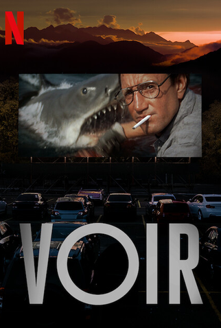 Poster 3 de Série A Ótica do Cinema (2021)