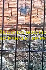 Frequência da Sociedade de Barro Paralelepipedal (Frequência da Sociedade de Barro Paralelepipedal)