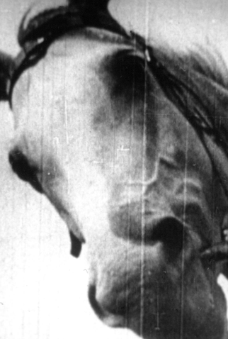 Poster 2 de Curta Race Symphony (1928)