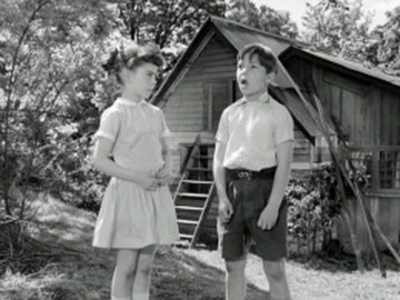 Foto 1 de A Estrela e a Cruz