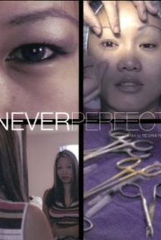 Poster 1 de Filme Never Perfect (None)