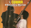 Ninja x Cobra - O Encontro Mortal