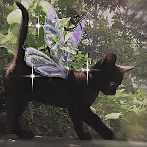 Foto de perfil de ana