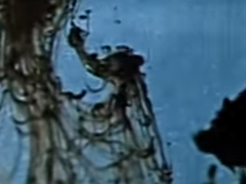 Foto 1 de Sonâmbulos