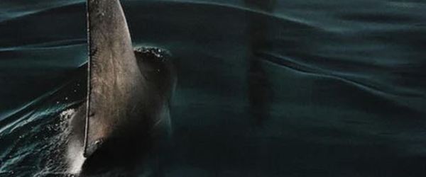 Crítica: Sob as Águs do Sena ("Sous la Seine") - CineCríticas