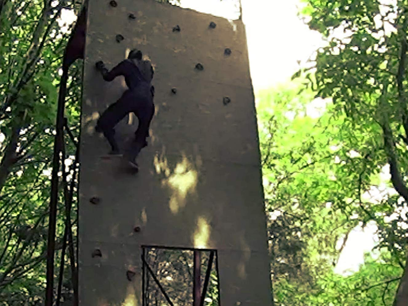 Foto 3 de Ninja Português