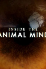 Dentro da Mente Animal (Inside the Animal Mind)