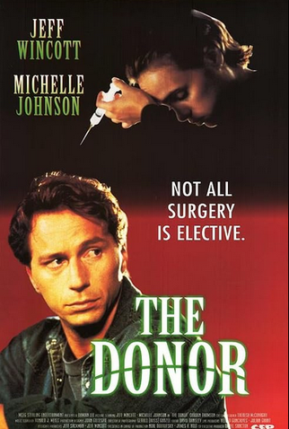 Poster 1 de Filme Armadilha Sedutora (1995)