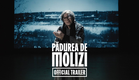 PĂDUREA DE MOLIZI | TRAILER OFICIAL
